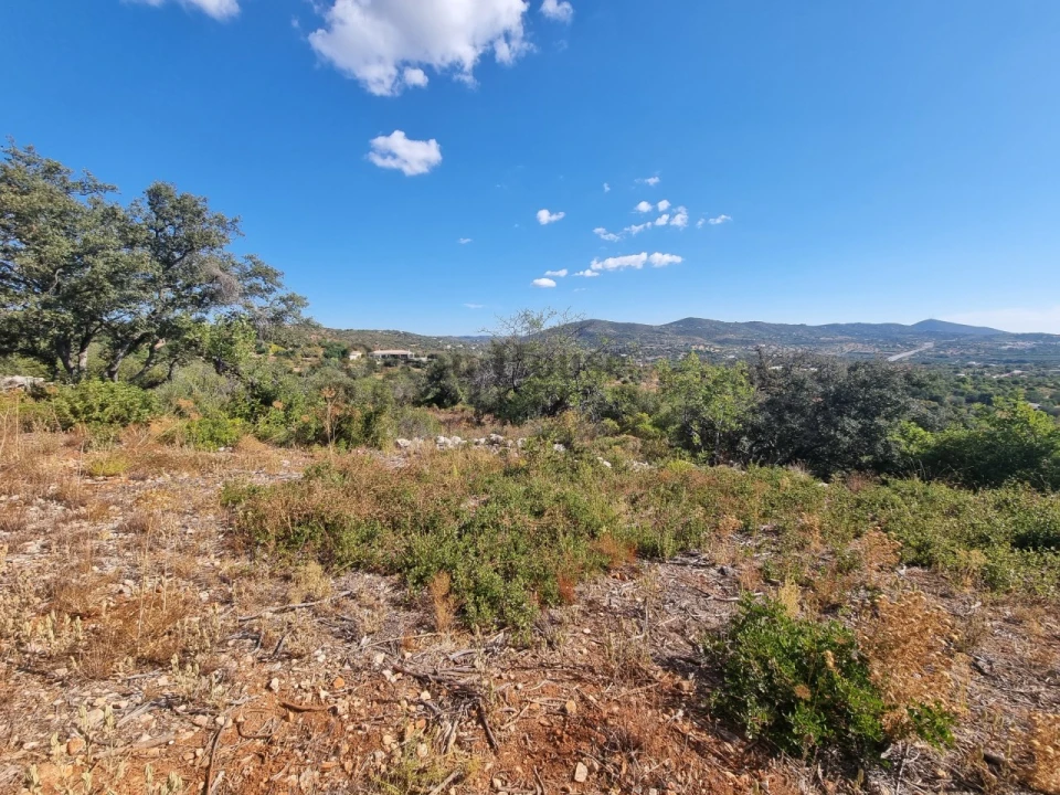 Terreno Agricola ou Rústico para Venda em Conceição e Estoi Foto 7