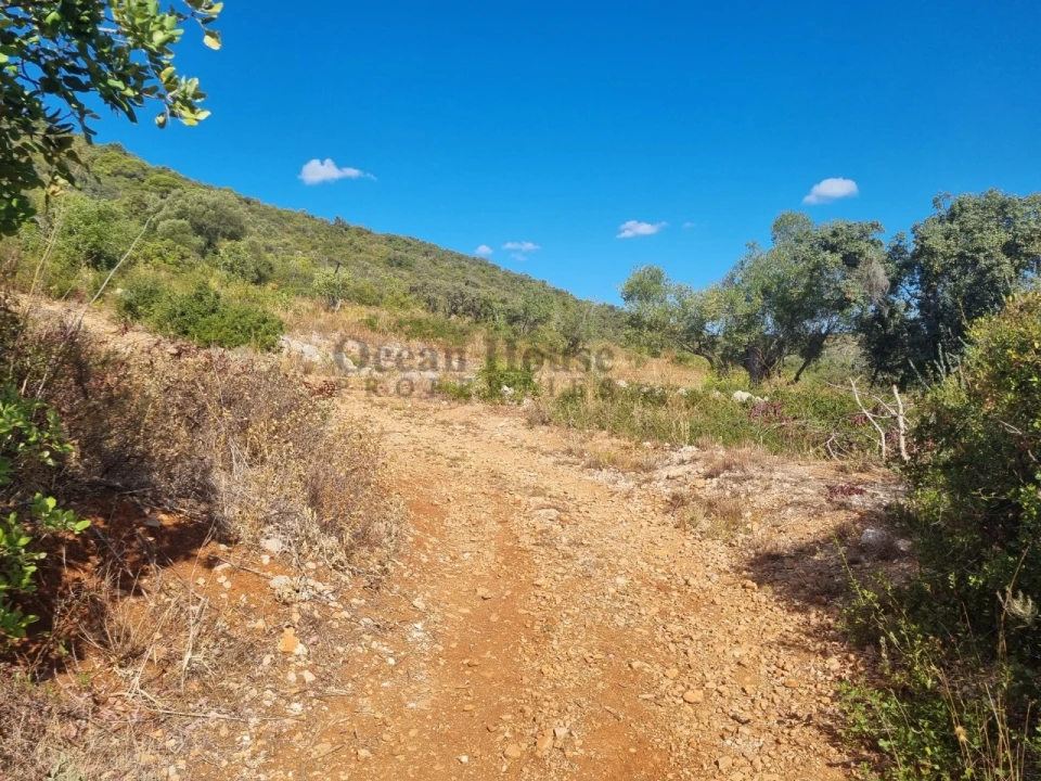 Terreno Agricola ou Rústico para Venda em Conceição e Estoi Foto 12