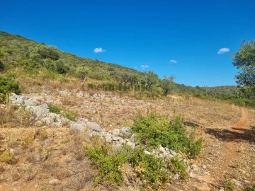 Terreno Agricola ou Rústico para Venda em Conceição e Estoi