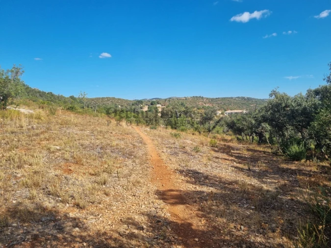 Terreno Agricola ou Rústico para Venda em Conceição e Estoi Foto 2