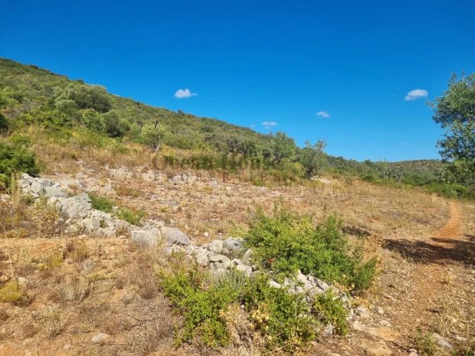 Terreno Agricola ou Rústico para Venda em Conceição e Estoi Foto 3
