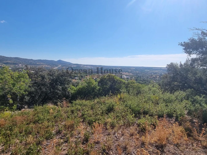 Terreno Agricola ou Rústico para Venda em Conceição e Estoi Foto 8