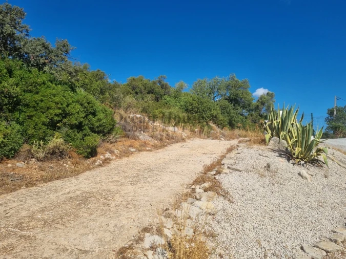 Terreno Agricola ou Rústico para Venda em Conceição e Estoi Foto 14