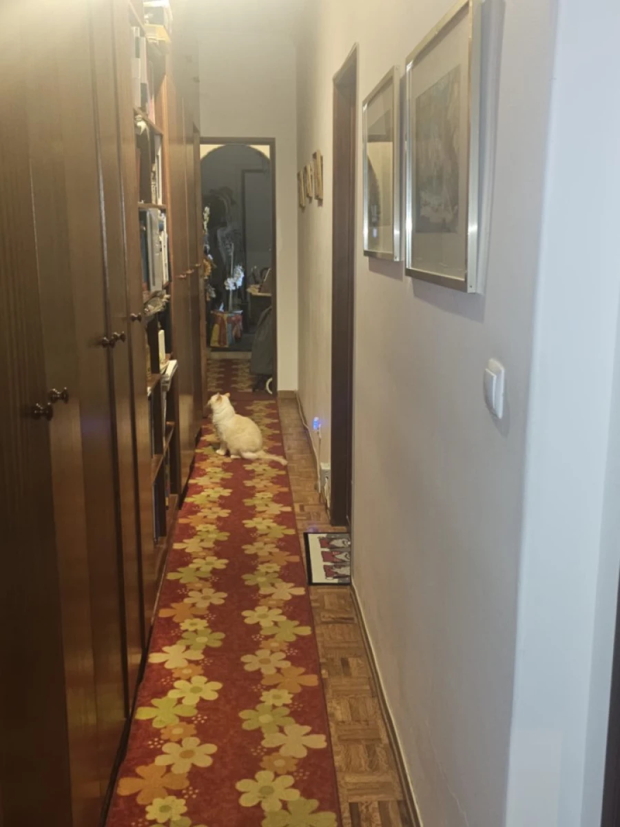 Apartamento T3 para Venda em Areeiro Foto 51