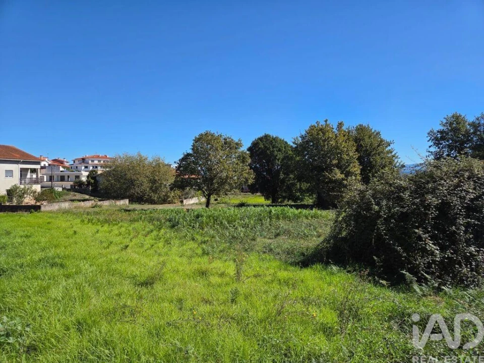Terreno para Venda em Santa Comba Dão e Couto do Mosteiro Foto 10