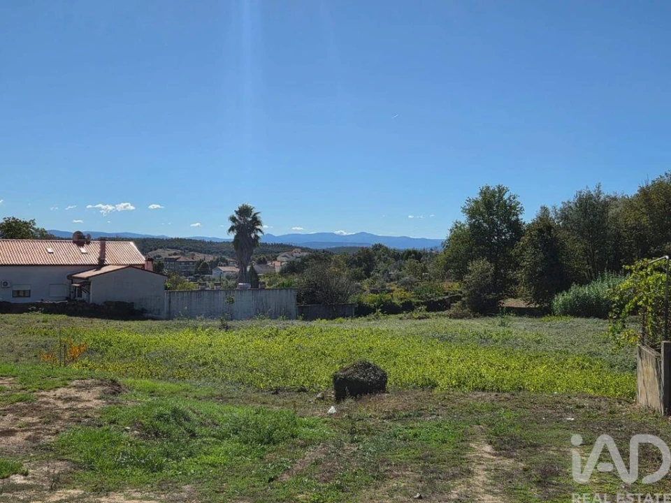 Terreno para Venda em Santa Comba Dão e Couto do Mosteiro Foto 2