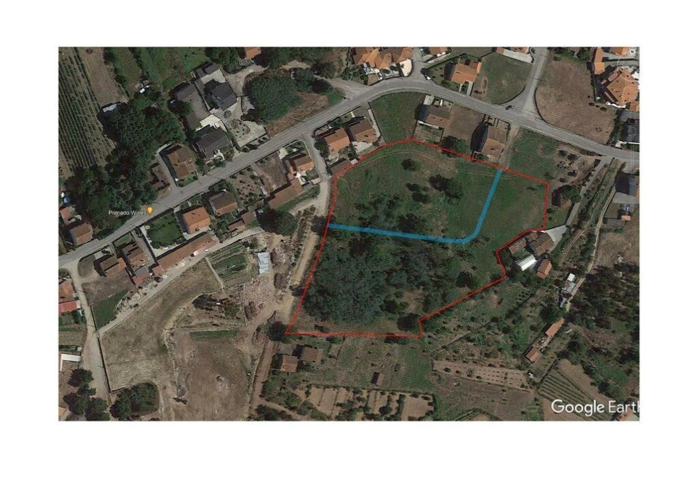 Terreno para Venda em Santa Comba Dão e Couto do Mosteiro Foto 23