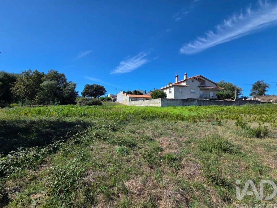 Terreno para Venda em Santa Comba Dão e Couto do Mosteiro Foto 22