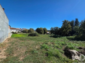 Terreno para Venda em Santa Comba Dão e Couto do Mosteiro