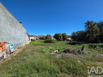Terreno para Venda em Santa Comba Dão e Couto do Mosteiro