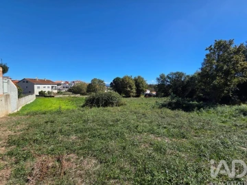 Terreno para Venda em Santa Comba Dão e Couto do Mosteiro