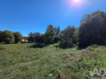 Terreno para Venda em Santa Comba Dão e Couto do Mosteiro