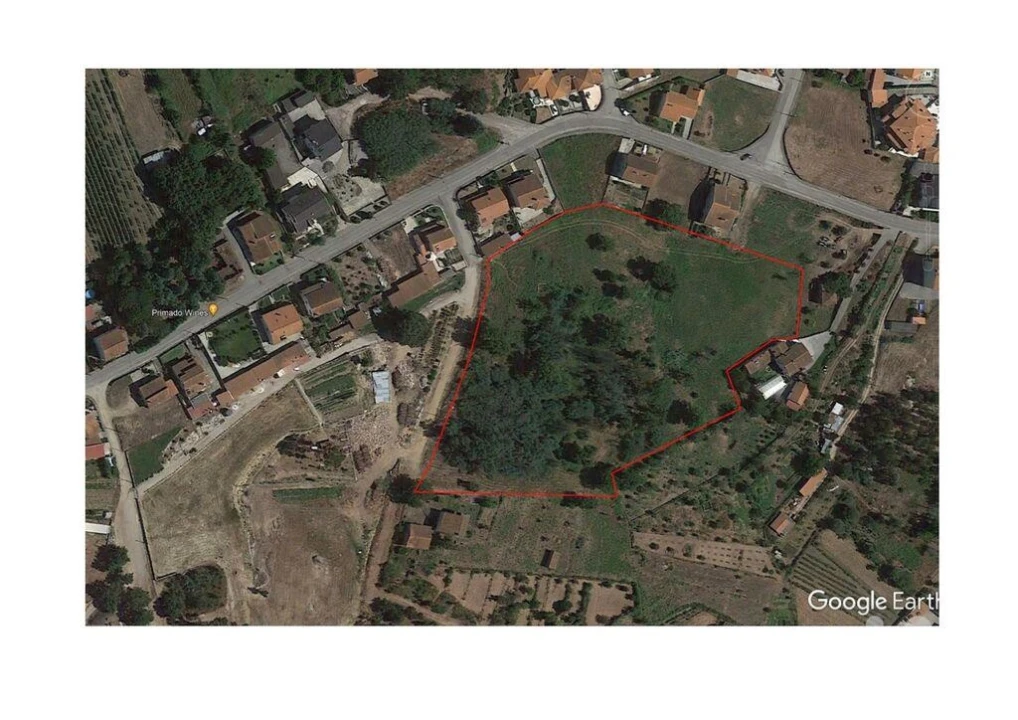 Terreno para Venda em Santa Comba Dão e Couto do Mosteiro Foto 1
