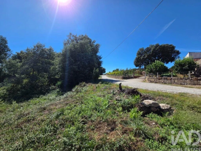 Terreno para Venda em Santa Comba Dão e Couto do Mosteiro Foto 19