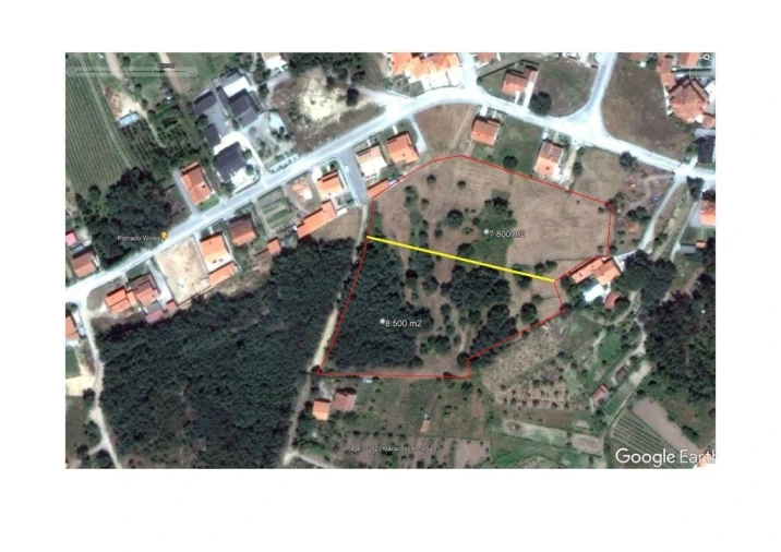 Terreno para Venda em Santa Comba Dão e Couto do Mosteiro Foto 24