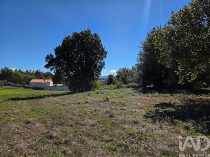 Terreno para Venda em Santa Comba Dão e Couto do Mosteiro Foto 17