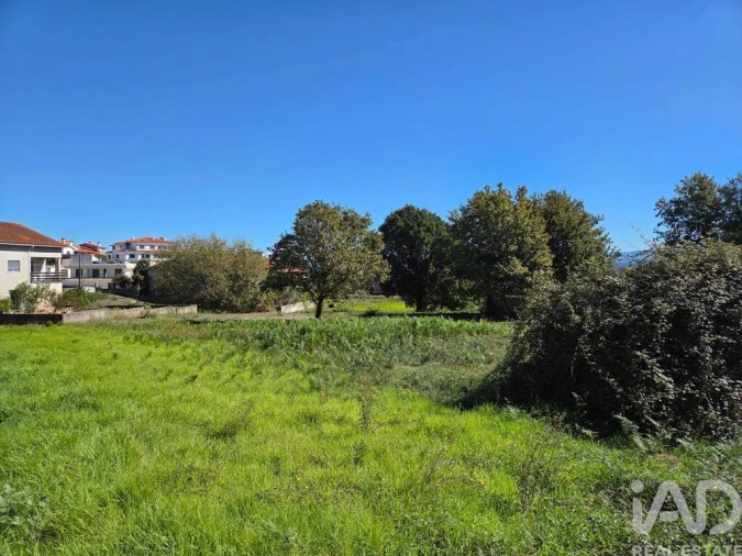 Terreno para Venda em Santa Comba Dão e Couto do Mosteiro Foto 10
