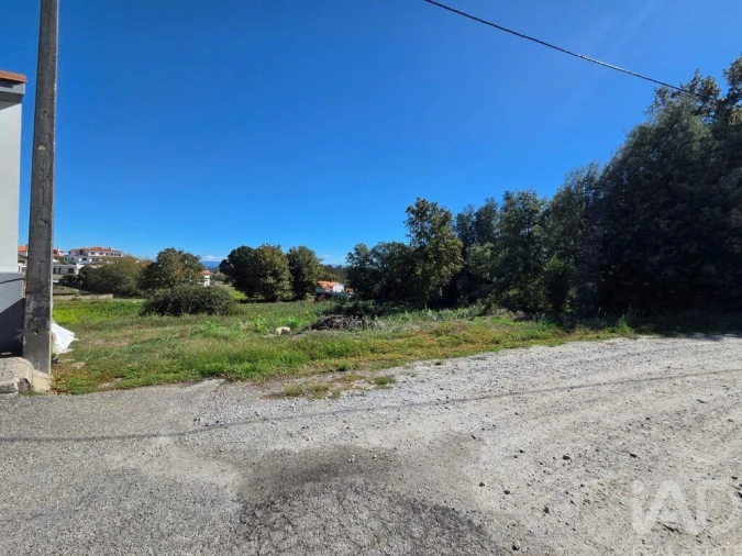 Terreno para Venda em Santa Comba Dão e Couto do Mosteiro Foto 4