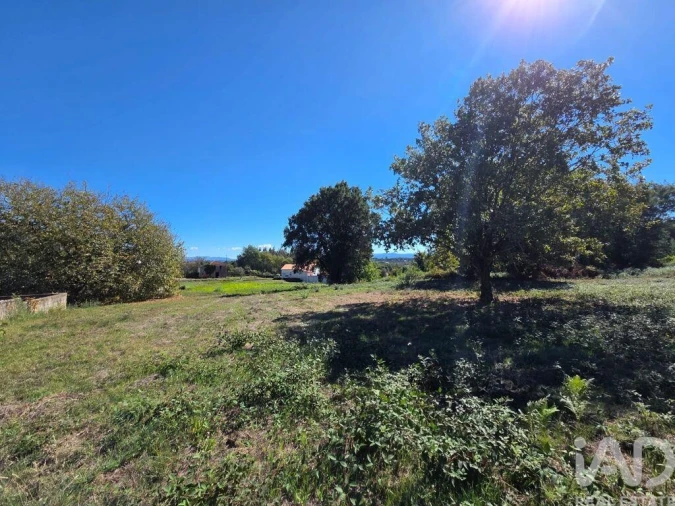 Terreno para Venda em Santa Comba Dão e Couto do Mosteiro Foto 15