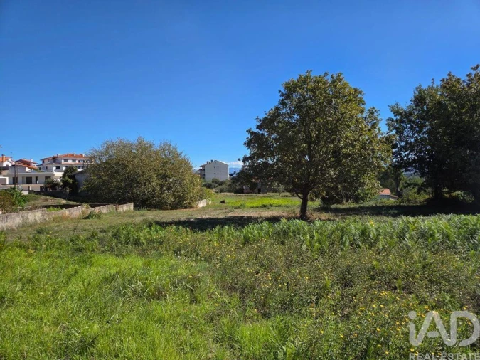 Terreno para Venda em Santa Comba Dão e Couto do Mosteiro Foto 12