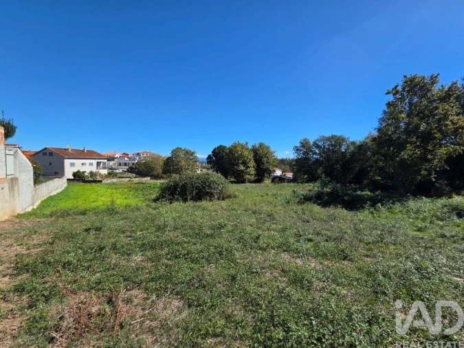 Terreno para Venda em Santa Comba Dão e Couto do Mosteiro Foto 6