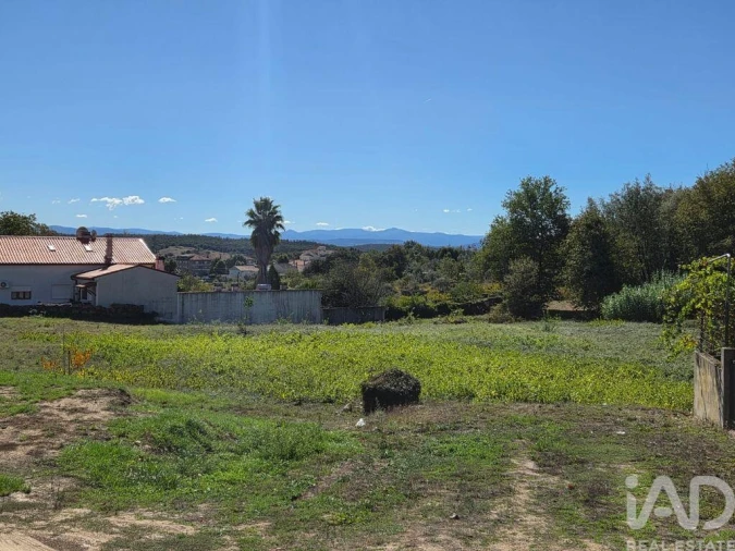 Terreno para Venda em Santa Comba Dão e Couto do Mosteiro Foto 21