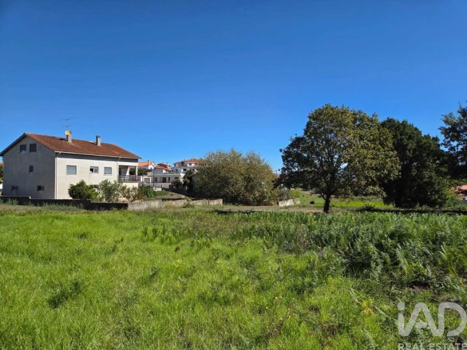 Terreno para Venda em Santa Comba Dão e Couto do Mosteiro Foto 11
