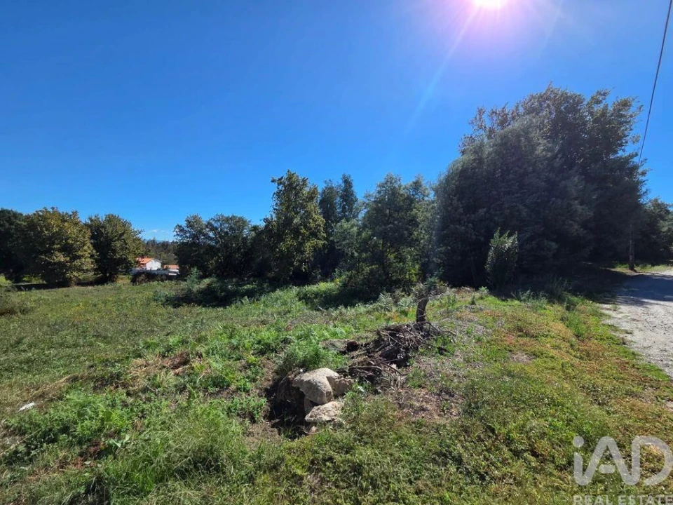 Terreno para Venda em Santa Comba Dão e Couto do Mosteiro Foto 5