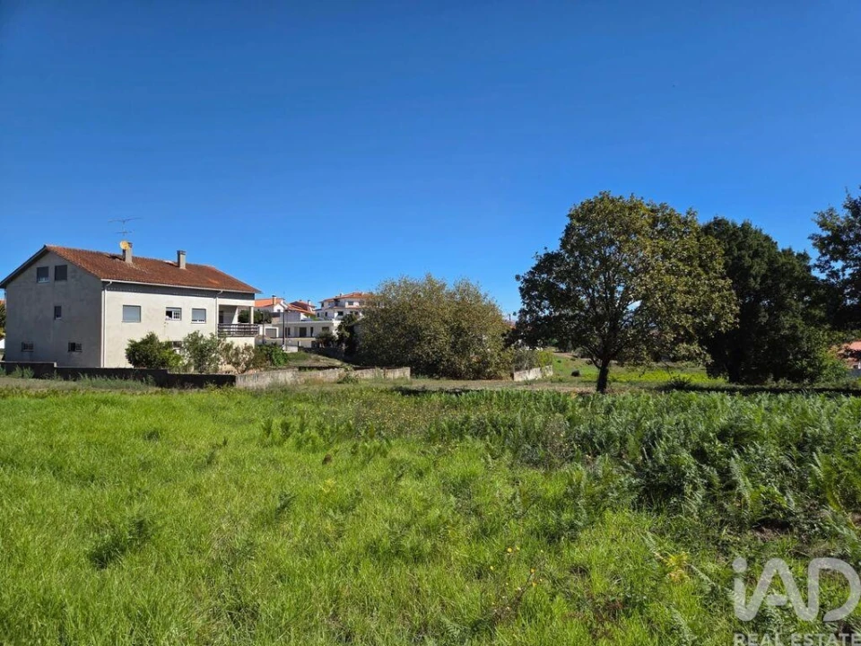 Terreno para Venda em Santa Comba Dão e Couto do Mosteiro Foto 11