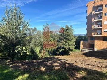 Terreno para Venda em Real, Dume e Semelhe