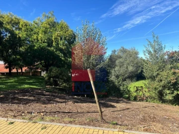 Terreno para Venda em Real, Dume e Semelhe
