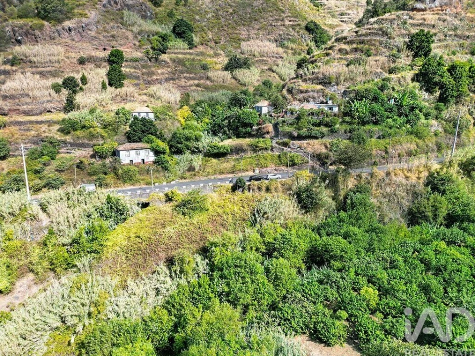 Terreno para Venda em Tabua Foto 9