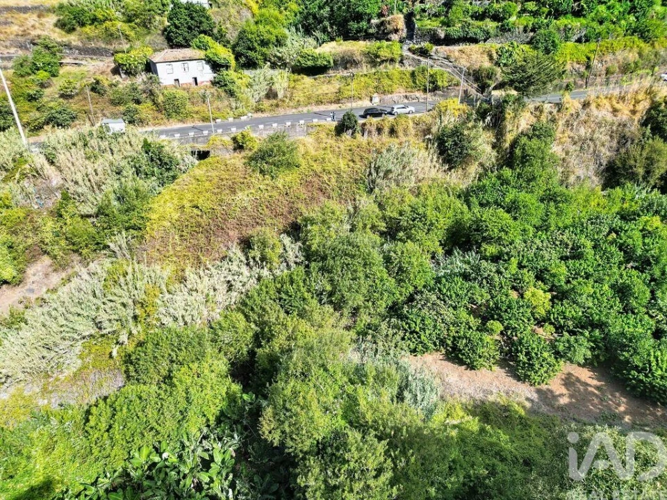 Terreno para Venda em Tabua Foto 3