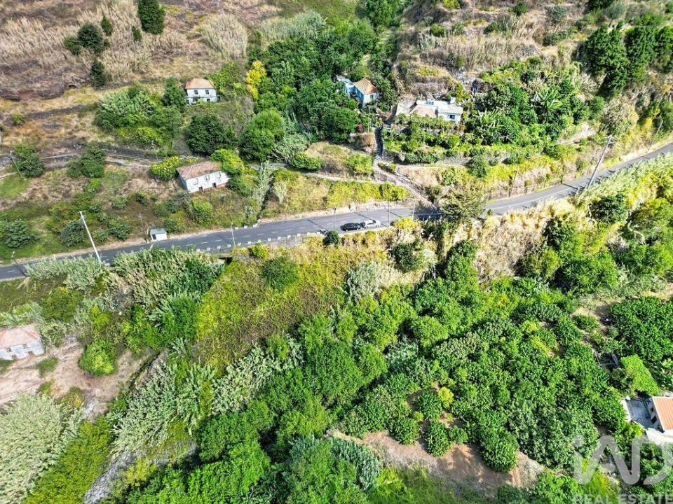Terreno para Venda em Tabua Foto 13
