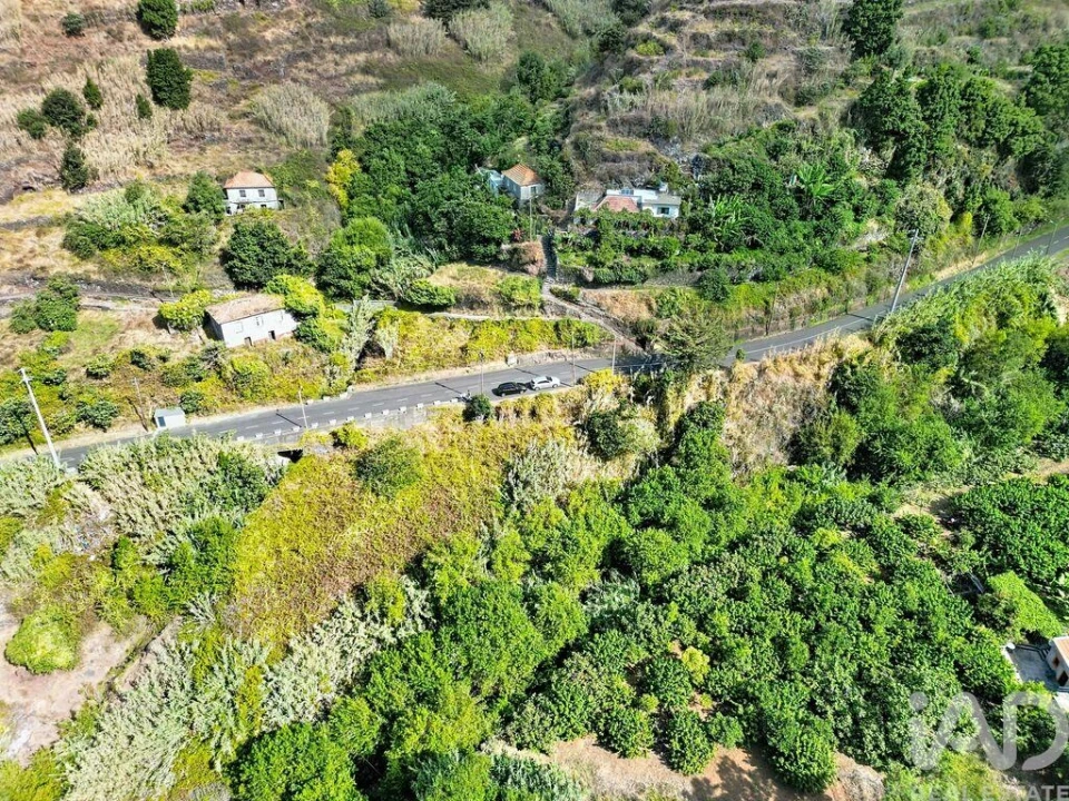 Terreno para Venda em Tabua Foto 2