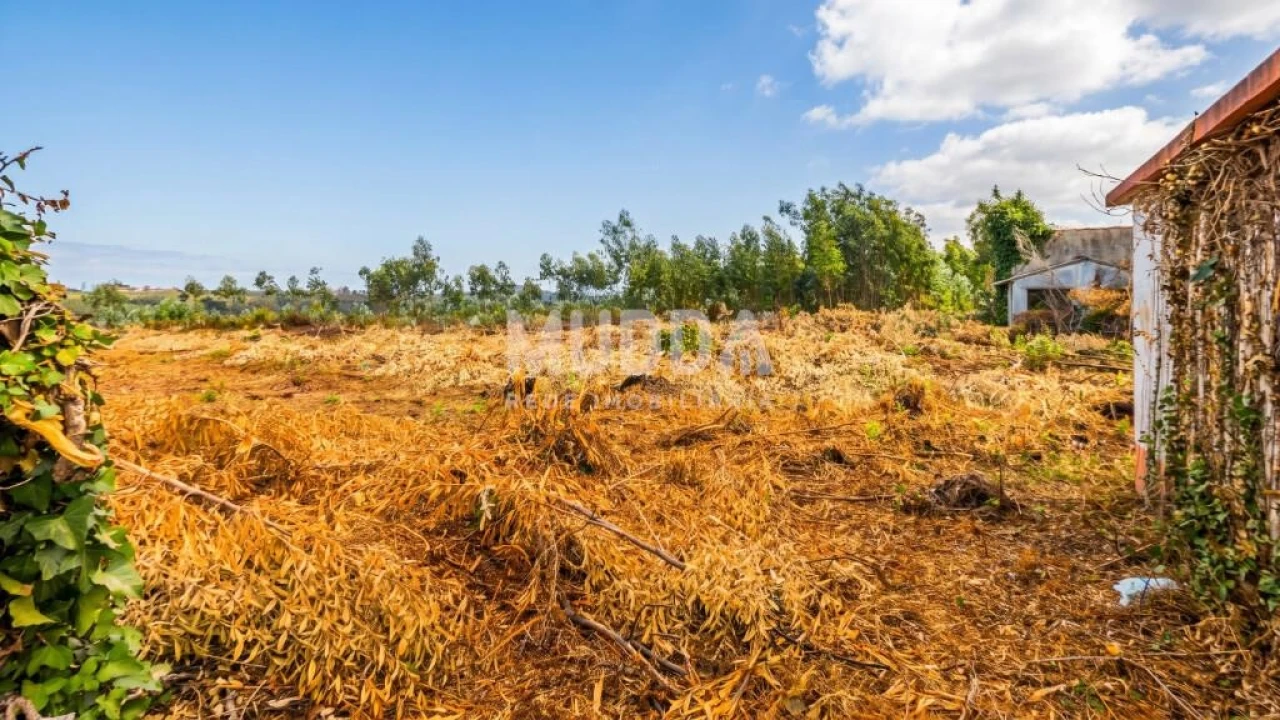 Armazém para Venda em Albergaria-A-Velha e Valmaior Foto 8
