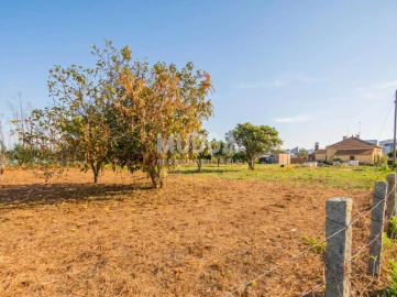 Armazém para Venda em Albergaria-A-Velha e Valmaior
