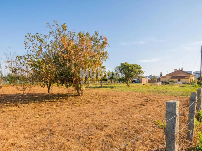 Armazém para Venda em Albergaria-A-Velha e Valmaior Foto 9