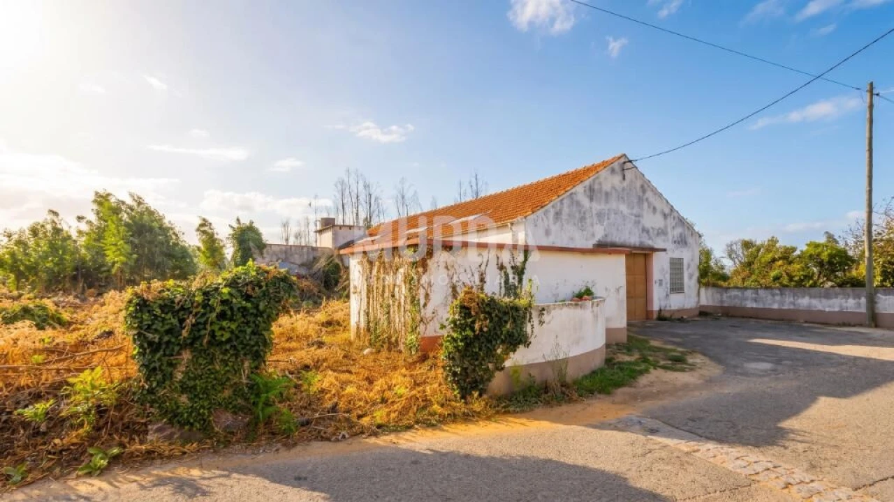 Armazém para Venda em Albergaria-A-Velha e Valmaior Foto 2