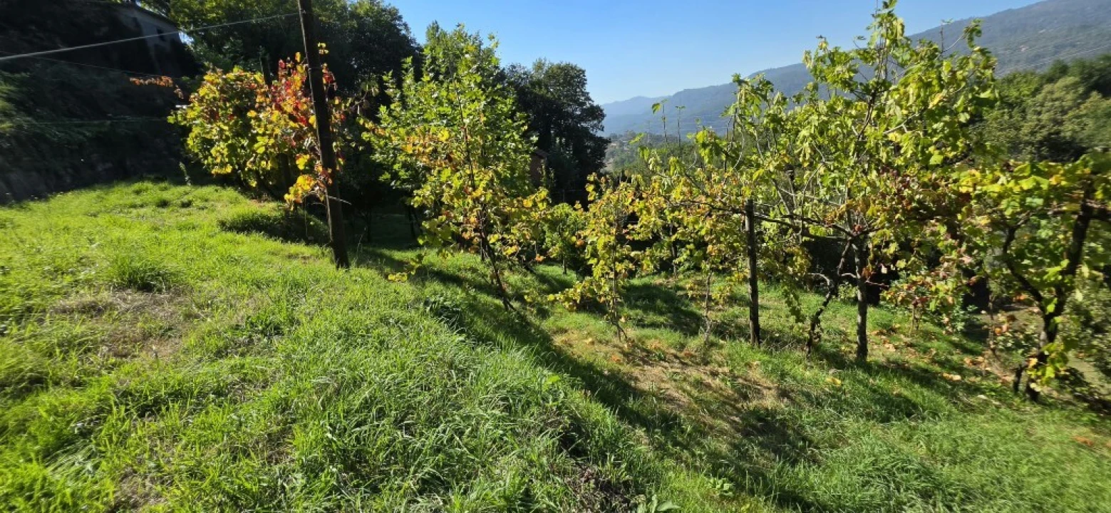 Terreno para Venda em Louredo Foto 27