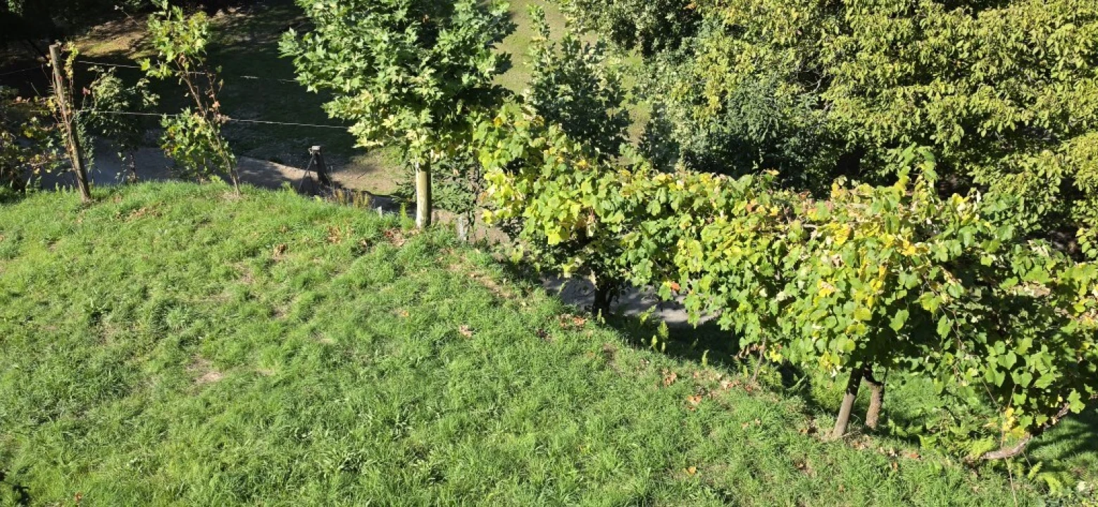 Terreno para Venda em Louredo Foto 26