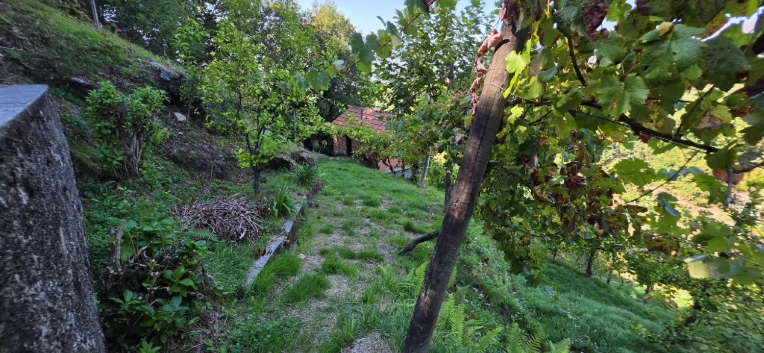 Terreno para Venda em Louredo Foto 30