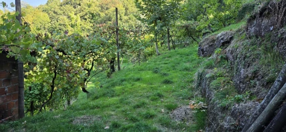 Terreno para Venda em Louredo