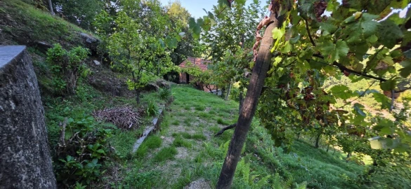 Terreno para Venda em Louredo