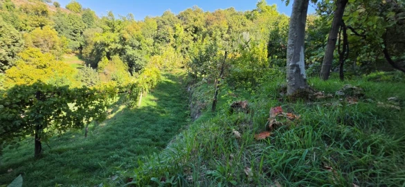 Terreno para Venda em Louredo