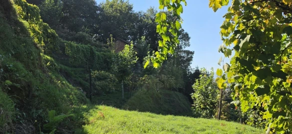 Terreno para Venda em Louredo