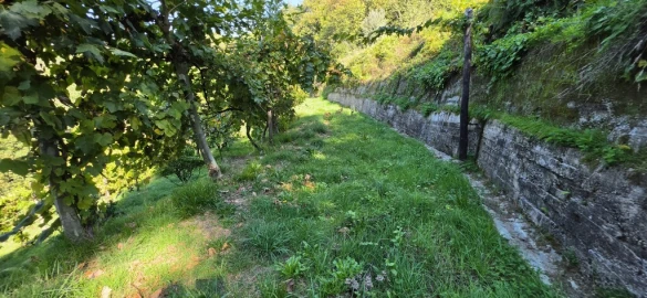 Terreno para Venda em Louredo