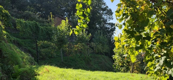 Terreno para Venda em Louredo