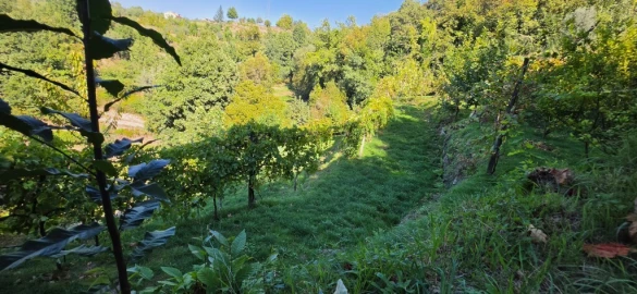 Terreno para Venda em Louredo
