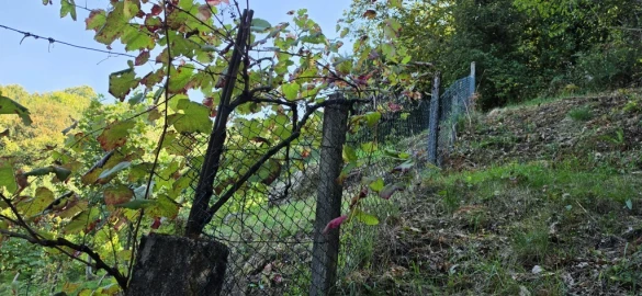 Terreno para Venda em Louredo